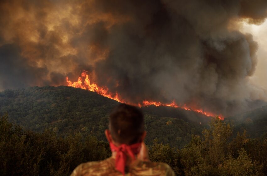  Χωρίς τέλος η οικολογική καταστροφή στη Δαδιά – Μάχη με τις αναζωπυρώσεις σε ένα αχανές μέτωπο