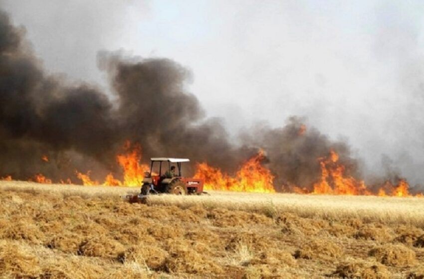  Αλεξανδρούπολη -Άμεση καταβολή αποζημιώσεων σε αγρότες και κτηνοτρόφους που επλήγησαν από τη φωτιά