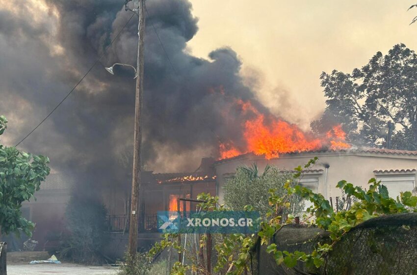  Φωτιά στη Ροδόπη: “Βρέθηκαν εμπρηστικοί μηχανισμοί”