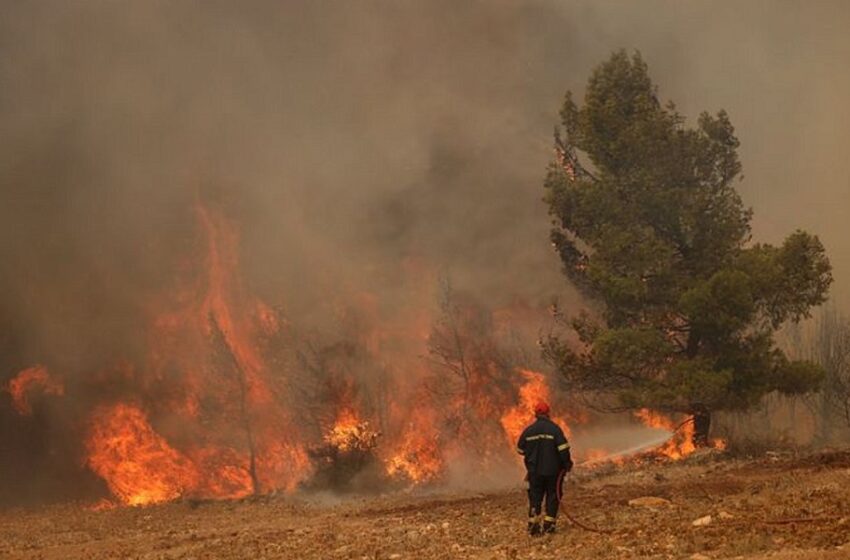  Άλλες δύο συλλήψεις για τις φωτιές σε Αυλώνα και Μενίδι- 4 οι προσαγωγές υπόπτων για τις πυρκαγιές