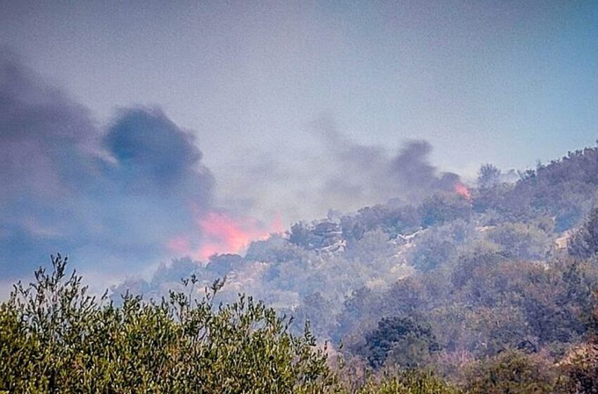  Φωτιά στη Βοιωτία: Μεγάλη αναζωπύρωση στα Βάγια