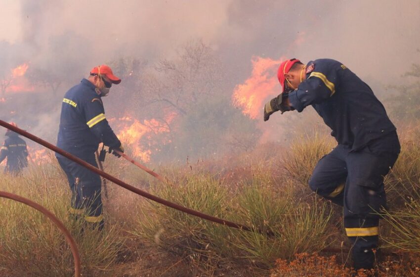  Μεγάλη αναζωπύρωση στη Βοιωτία-Μάχη για να σωθεί το δάσος του Ελικώνα