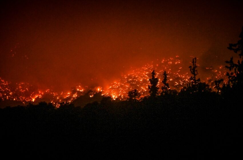  Αιγιάλεια: Ανυπολόγιστες οι ζημιές από την πυρκαγιά – Καλογερόπουλος: Μεγάλη καταστροφή σε Τράπεζα και Διακοπτό