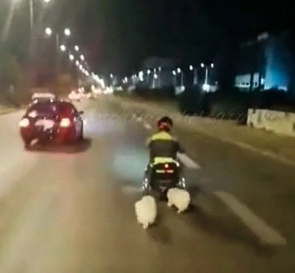  Θανατηφόρο τροχαίο: Βίντεο με τον 40χρονο με το αμαξίδιο – Τον παρέσυσε 87χρονος οδηγός