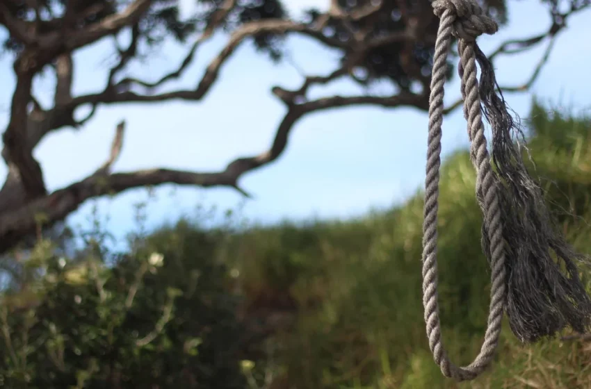  Τρίκαλα: 46χρονος βρέθηκε κρεμασμένος σε δέντρο