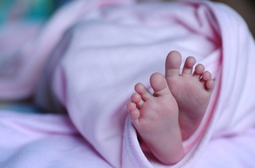  Χανιά – Κύκλωμα εμπορίας βρεφών: Παρένθετη μητέρα γέννησε δίδυμα – Θα γίνει ταυτοποίηση του DNA