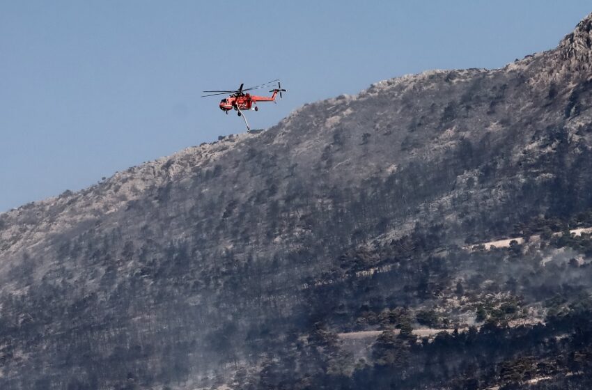  CNN: Η χαμένη μάχη για να σωθούν οι πνεύμονες της Αθήνας – Οι πυρκαγιές φέτος χειρότερες από ποτέ
