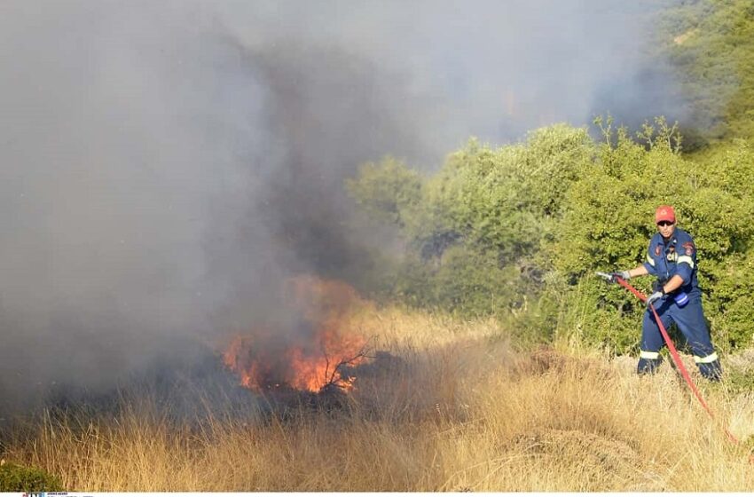  Πυροσβεστική: 49 αγροτοδασικές πυρκαγιές το τελευταίο 24ωρο στη χώρα
