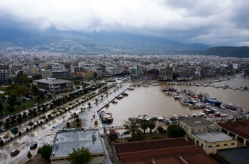  Βόλος: Ακατάλληλος για ψάρεμα ο Παγασητικός –  Σε απόγνωση οι  αλιείς