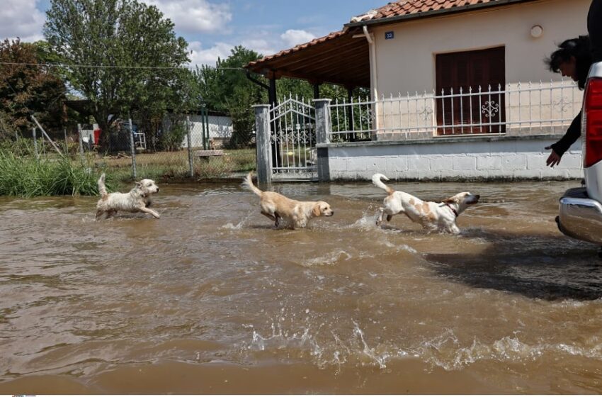  Αναστέλλεται η λειτουργία Δικαστηρίων και Εισαγγελιών της Περιφέρειας Θεσσαλίας