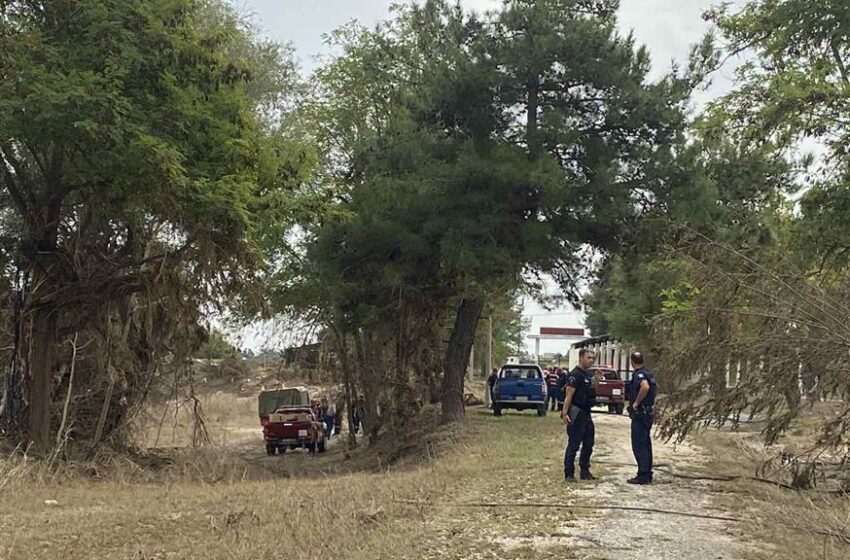  Γυναίκα έπεσε στον Πηνειό– Σώθηκε γιατί πιάστηκε από κορμό δέντρου