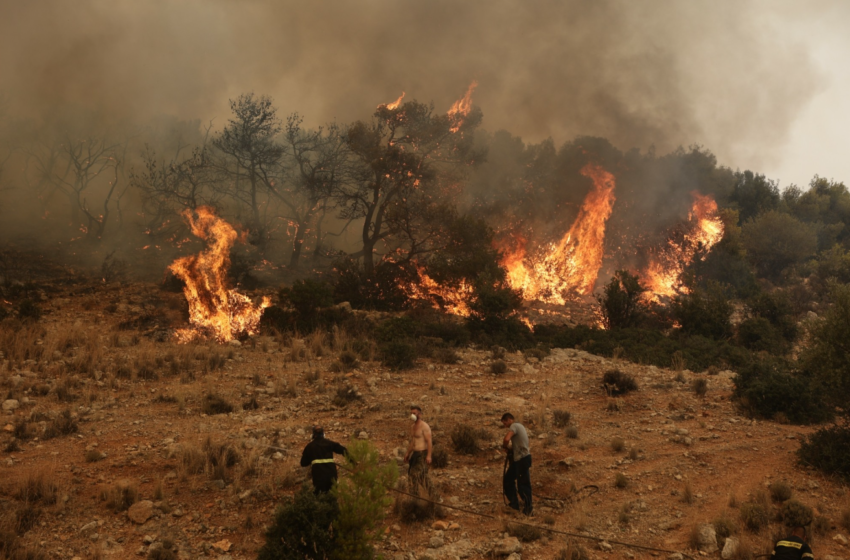  Πυρκαγιά σε χαμηλή βλάστηση στα Παγούρια Ροδόπης
