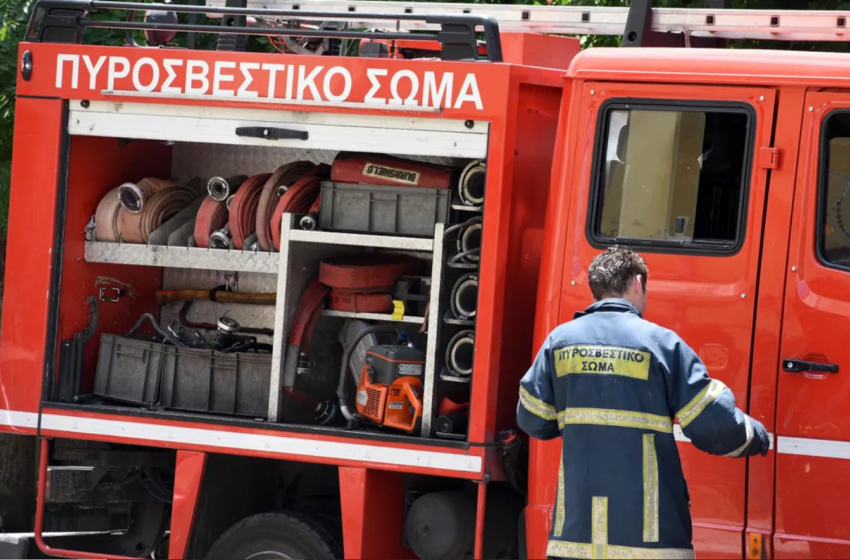  Ηλεία: Πυρκαγιά στην περιοχή της Πεύκης – Μεγάλη κινητοποίηση της Πυροσβεστικής