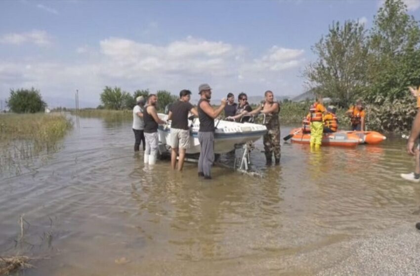 D15 2023 09 09 14 59 45 frame 17705 768x432 1