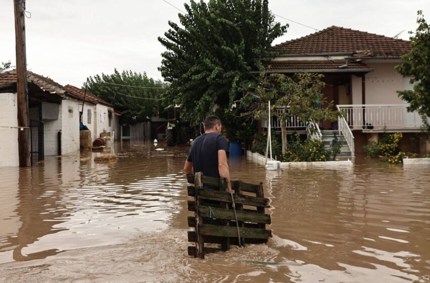  Θεσσαλία: Κατεστραμμένα σπίτια, μολυσματικές ασθένειες και νεκρά ζώα – Οι κάτοικοι νιώθουν αβοήθητοι  