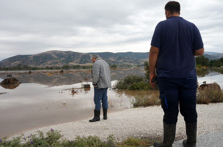  Δήμος Λάρισας: Αυτά είναι τα μέτρα για τους πλημμυροπαθείς της κακοκαιρίας Daniel