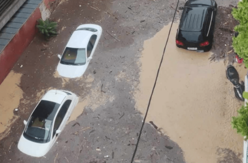  Θεσσαλία: Χωρίς παράβολα τα αντίγραφα αδειών οδήγησης που καταστράφηκαν ή χάθηκαν