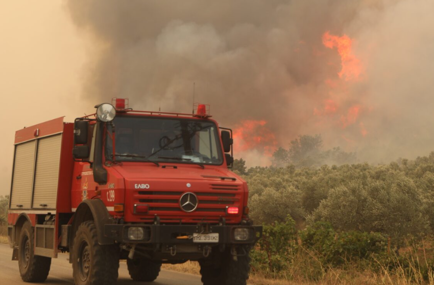  Φωτιά στον Έβρο: Στο Σουφλί το μεγαλύτερο μέτωπο