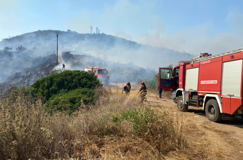  Φωτιά στο Χαρακοπιό Μεσσηνίας – Κινητοποιήθηκαν επίγεια και εναέρια μέσα