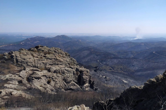  Μπλόκο σε αιολικά πάρκα στα καμένα του Έβρου μετά τον σάλο- Τι είπε ο Μαρινάκης μετά την αποκάλυψη