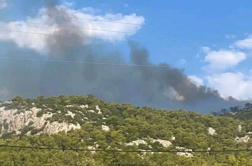  Ασπρόπυργος: Φωτιά στην Περιφερειακή Αιγάλεω-Επιχειρεί και ελικόπτερο