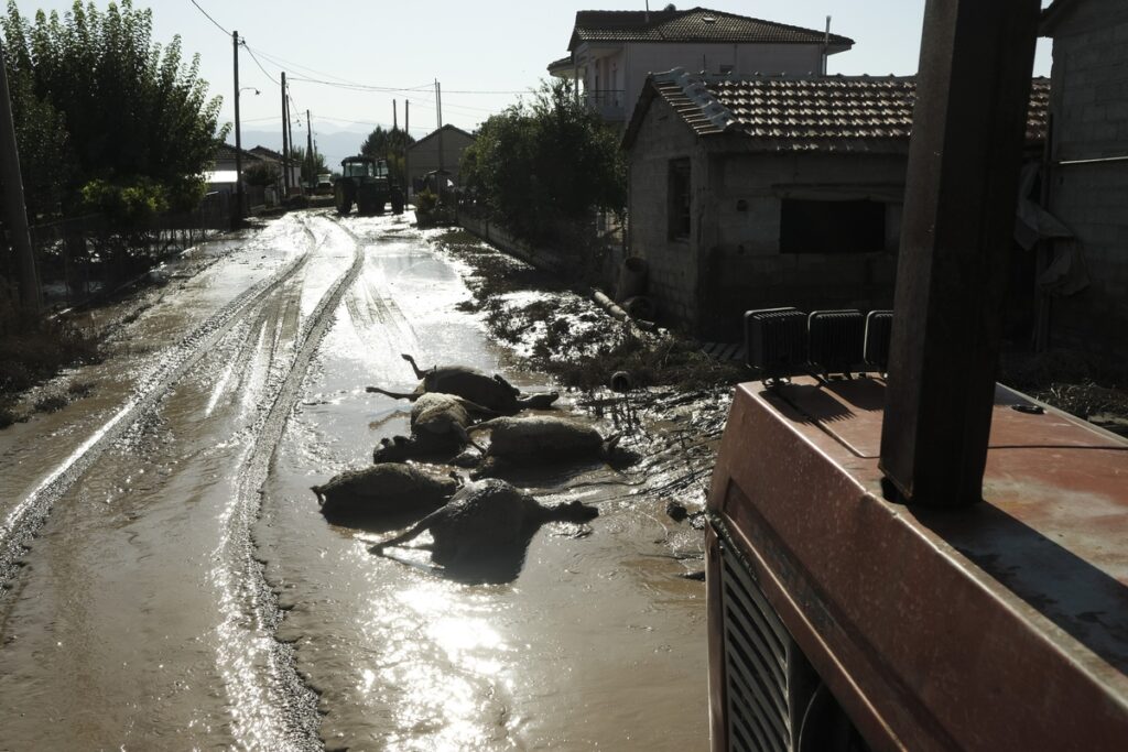 image000011694364960 1