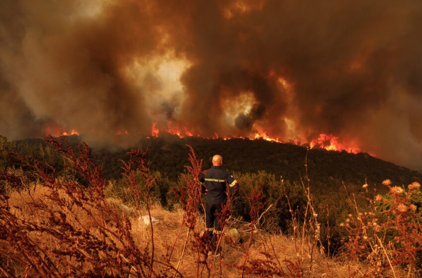  Καίγεται ο μικρός πυρήνας στο δάσος της Δαδιάς – Η κρίσιμη μάχη στο “Διαβολόρεμα” για να σταματήσει η φωτιά – Γιατί συνεχίζει για 15η μέρα