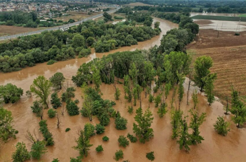  Θεσσαλία: Το σχέδιο του ΕΛΓΟ – ΔΗΜΗΤΡΑ για τη γονιμότητα των εδαφών μετά τις πλημμύρες
