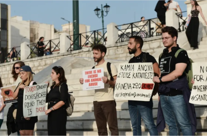  Παγκόσμια Ημέρα Ζώων – Σύνταγμα: Ακτιβιστές διαδηλώνουν για τα δικαιώματα των ζώων