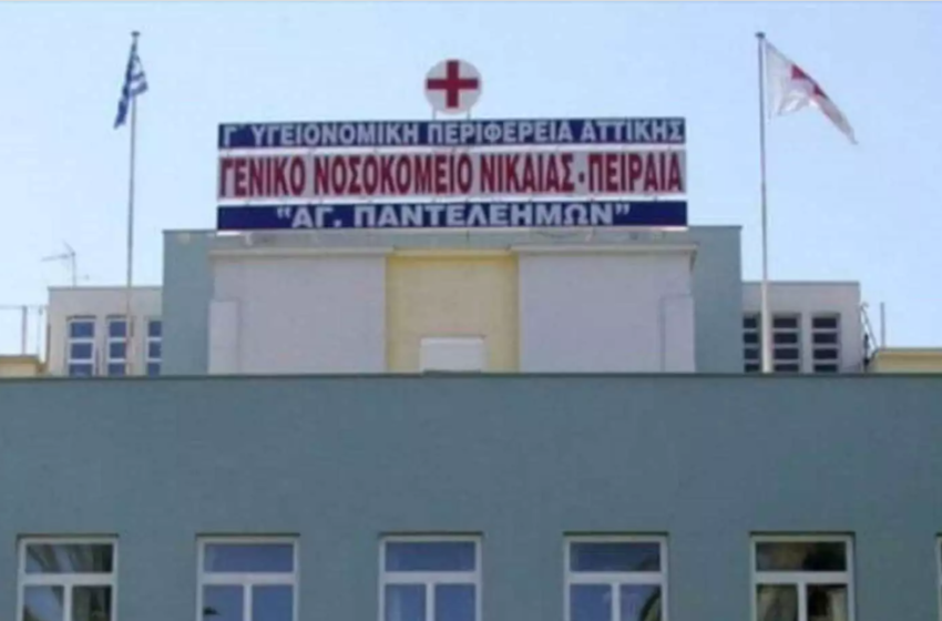  Σφήκες τσιμπούσαν ασθενείς στο νοσοκομείο Νίκαιας καταγγέλλει η ΠΟΕΔΗΝ – Έκλεισε θάλαμος της παθολογικής