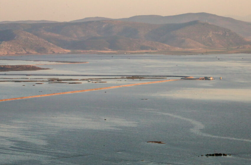  Λίμνη Κάρλα:Πέφτει η στάθμη, εμφανίζονται νεκρά ζώα