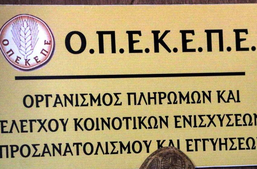  Δεν παραιτείται ο Πρόεδρος του ΟΠΕΚΕΠΕ