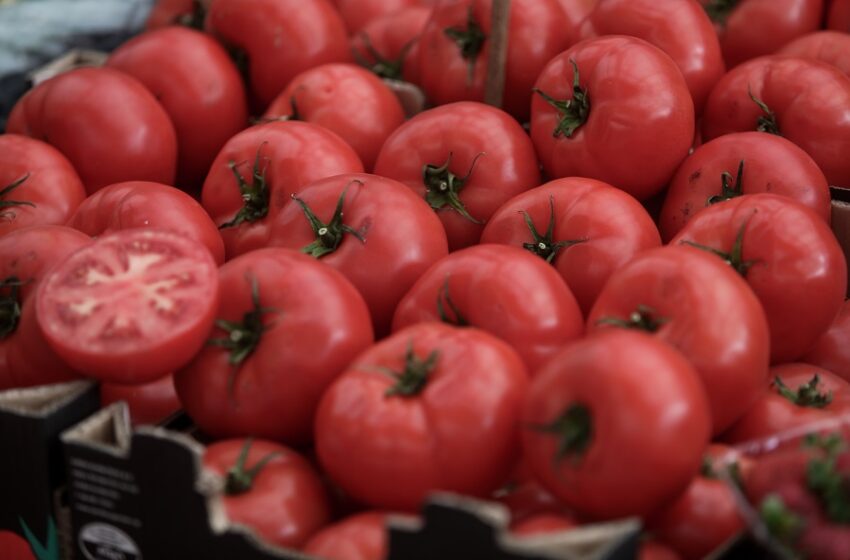  Ξέφυγε η τιμή της ντομάτας μέχρι και 3 ευρώ το κιλό – “Δεν δικαιολογούνται οι ανατιμήσεις”  (vid)