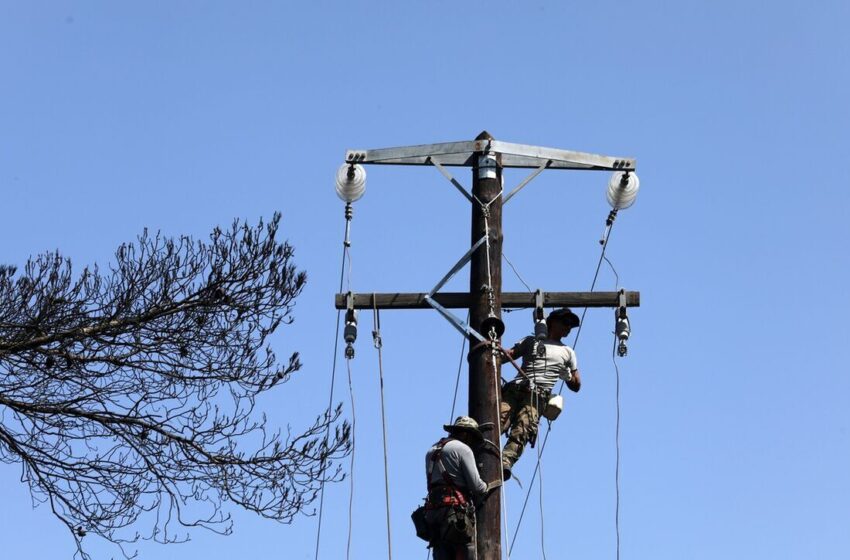  Τρίκαλα: Υλοτόμος έκοψε αγωγό ρεύματος 20.000 volt – Γλίτωσε από θαύμα και προκάλεσε μπλακ άουτ