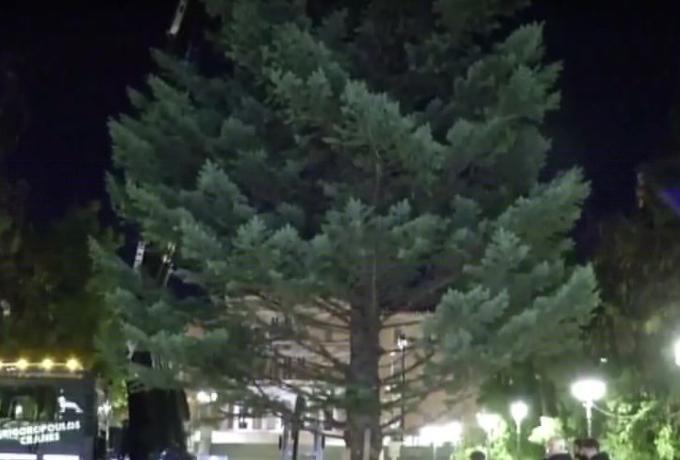  Στολίστηκε στην πλατεία Συντάγματος το χριστουγεννιάτικο δέντρο των 5,5 τόνων με τα 24.000 λαμπάκια