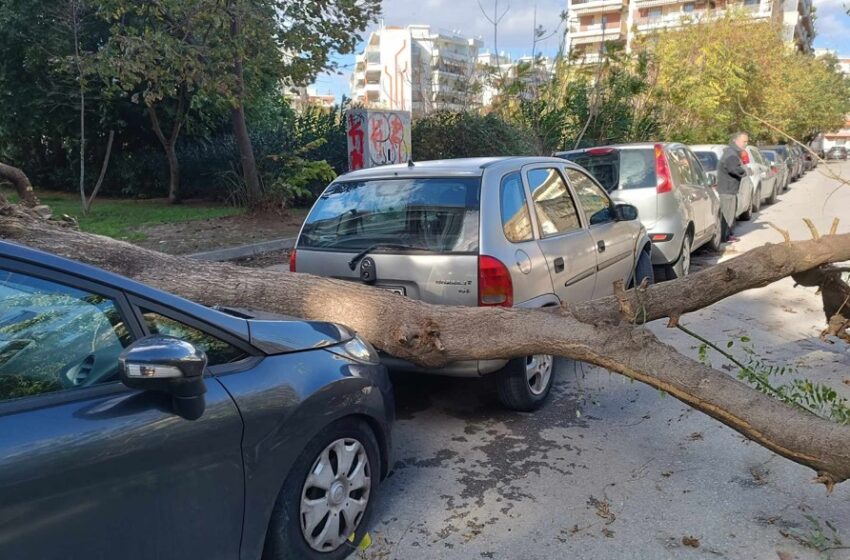  Θεσσαλονίκη: 150 κλήσεις δέχθηκε η Πυροσβεστική – Στα 106 χλμ./ώρα οι ριπές του ανέμου