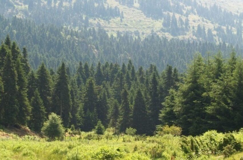  Καβάλα: Περιπατητής, ανασύρθηκε τραυματισμένος από χαράδρα