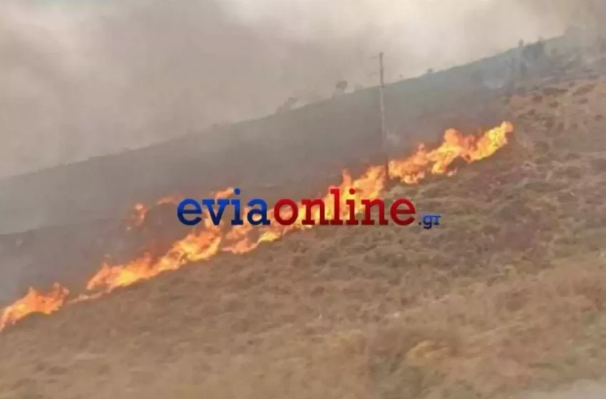  Ανεξέλεγκτη η φωτιά στην Κάρυστο – Εκκενώθηκαν χωριά απειλούνται σπίτια (vid)