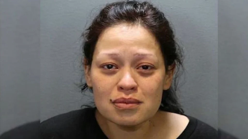 kalifornia vasanistiria 10xroni mitria