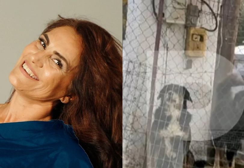  50χρονη: Τι υποστήριξε στην απολογία του ο 37χρονος που προφυλακίστηκε για τους σκύλους που κατασπάραξαν τη γυναίκα