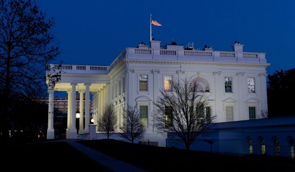 5aaf9156a2eb41f7a062e4cd9ed32365 XL