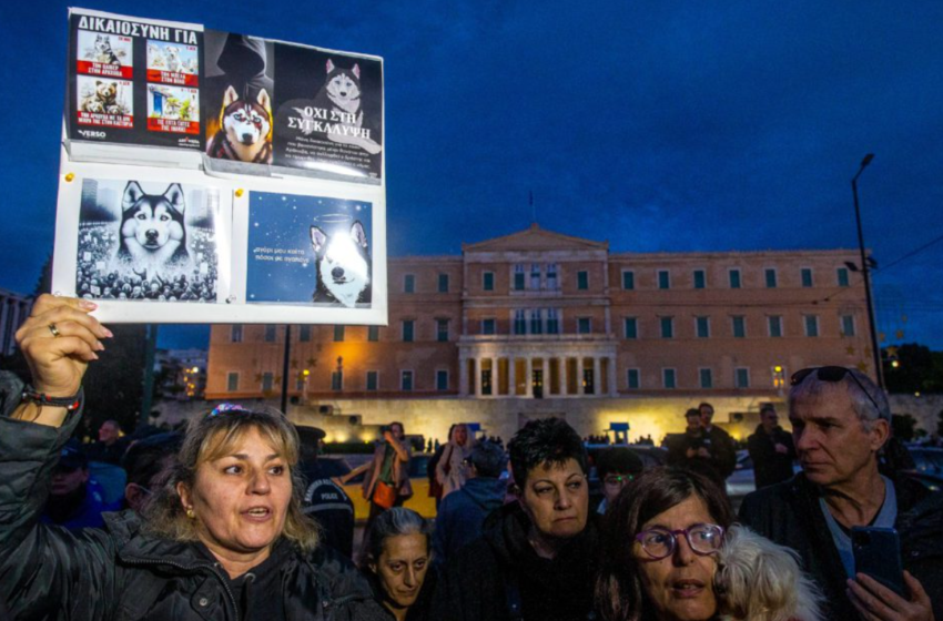  Αράχωβα: Πραγματοποιήθηκε πορεία διαμαρτυρίας στο Σύνταγμα – Ζητούν τη σύλληψη του δράστη που κακοποίησε τον Όλιβερ