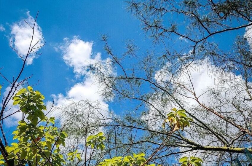  Meteo:Με μονοψήφιες θερμοκρασίες ξημέρωσε η Δευτέρα του Πάσχα -Πού “έγραψε” 1,1°C