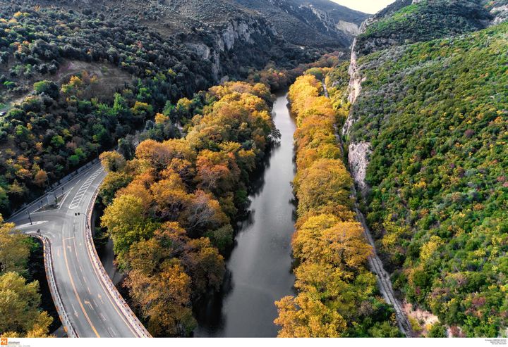  Περιοχές Natura: Καταργήθηκαν επτά φορείς διαχείρισης μέσα στα Χριστούγεννα – Έντονη αντίδραση ΣΥΡΙΖΑ