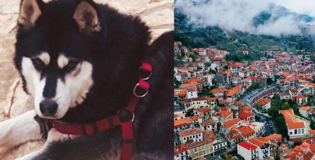 Αράχωβα χάσκι 1 1536x780 1