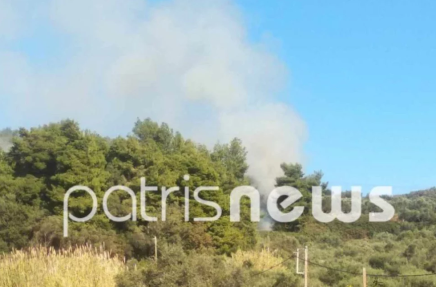  Φωτιά στο Επιτάλιο Ηλείας -Επί ποδός η Πυροσβεστική