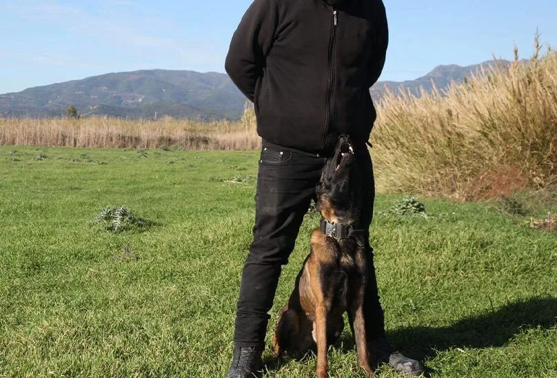  Μεσολόγγι: Στις έρευνες για τον 28χρονο και ο σκύλος – διασώστης Echo