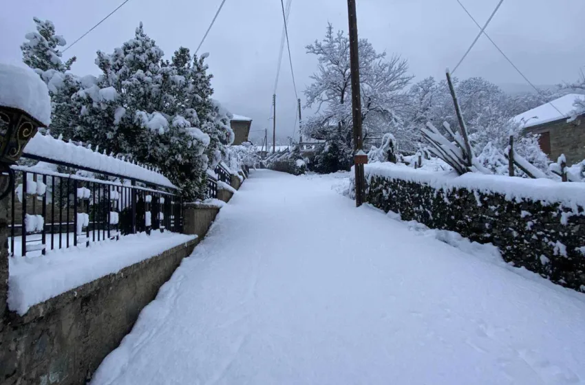  Η συγκινητική ιστορία του 15χρονου Αλέξανδρου που διανύει καθημερινά 56 χλμ. για να πάει σχολείο – “Θέλω να γίνω δάσκαλος”