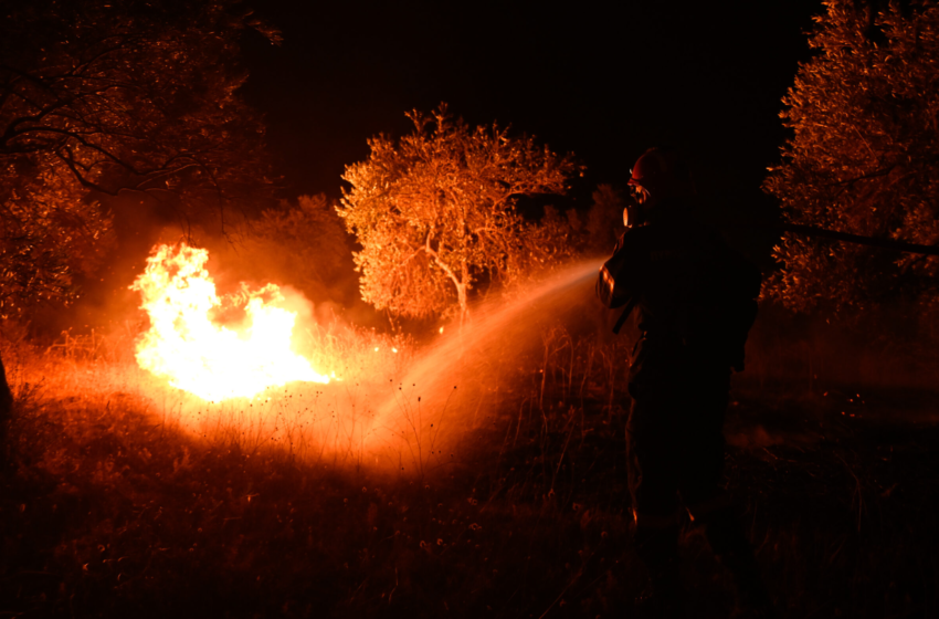  Λεχαινά: Φωτιά σε δασική έκταση στην περιοχή Αγία Μαρίνα