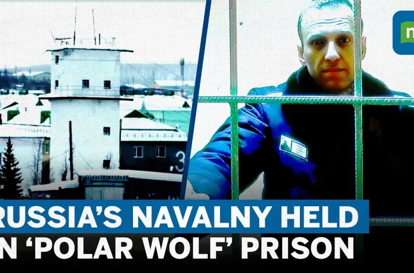  Polar Wolf/IK-3/ Το “Αλκατράζ” της Ρωσίας: Ποιά είναι η πιό σκληρή φυλακή του Πούτιν όπου κρατούνταν ο Αλεξέϊ Ναβάλνι